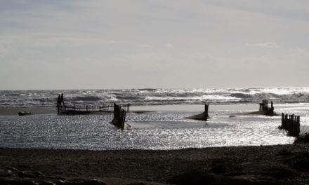 « Les plages vont-elles disparaître ? »