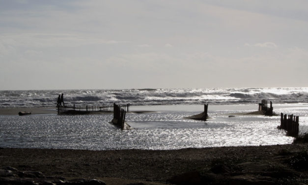 « Les plages vont-elles disparaître ? »