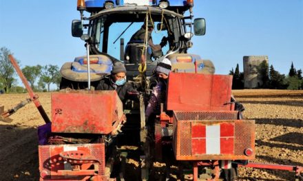 Plantation de vignes et technologie de Pointe