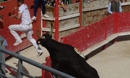 Trophée Camargue Médical : Les cocardiers ont gardé le moral