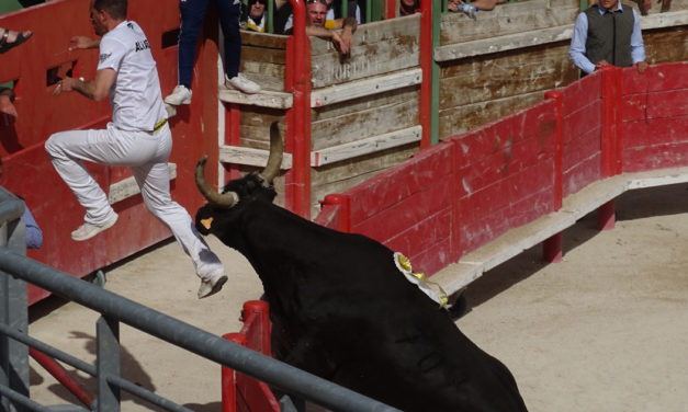 Trophée Camargue Médical : Les cocardiers ont gardé le moral