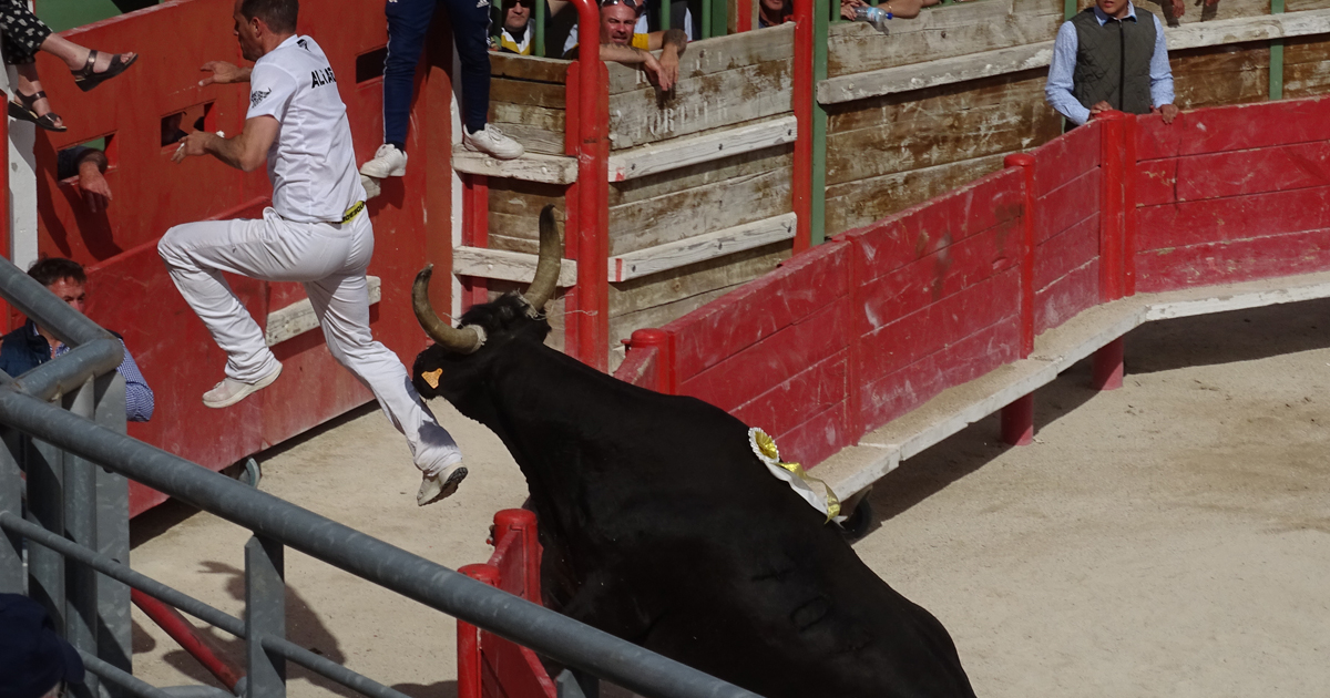 Trophée Camargue Médical : Les cocardiers ont gardé le moral