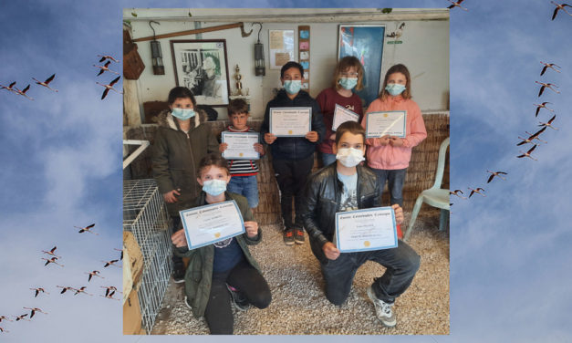 Le Cailar : L’Entente récompense ses jeunes colombophiles