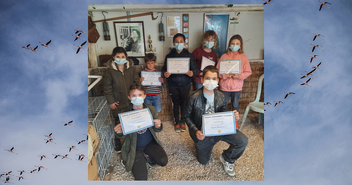 Le Cailar : L’Entente récompense ses jeunes colombophiles