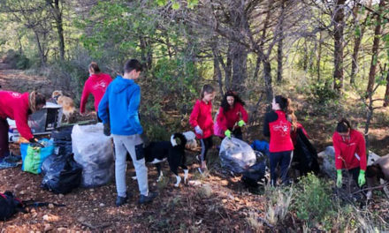 Ils ont nettoyé la nature !