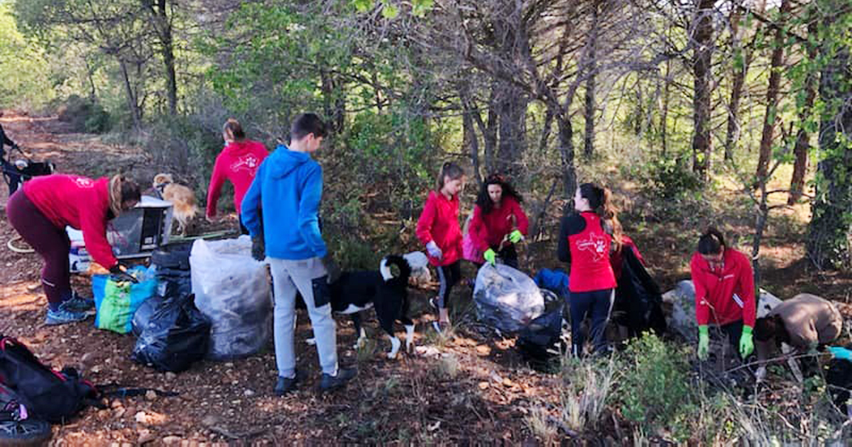 Ils ont nettoyé la nature !