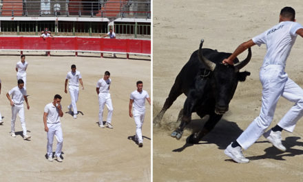 Course camarguaise : Les Prémices sont de retour
