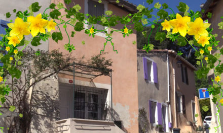 concours « Vauvert en fleurs »