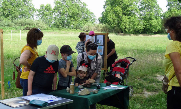 Animations et jeux sur le thème du Vistre et de la Vistrenque au parc des Aigrettes