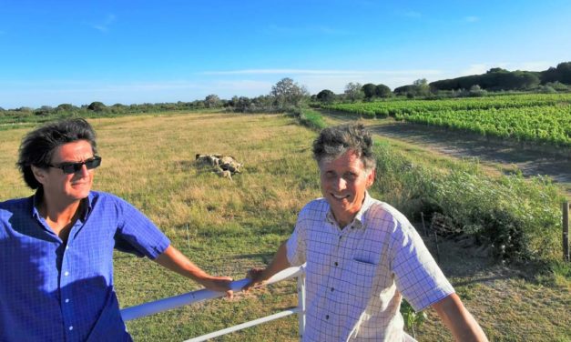 Le Petit Saint-Jean ouvre ses portes pour la première fois ce week-end
