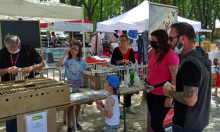 Journée Champêtre au Cailar