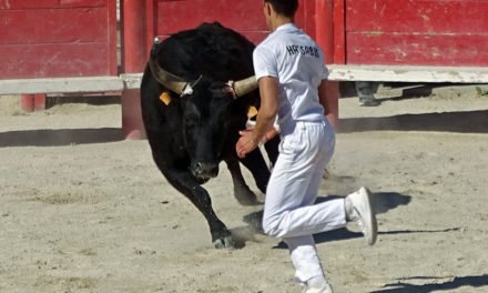 La troisième journée des Prémices en image