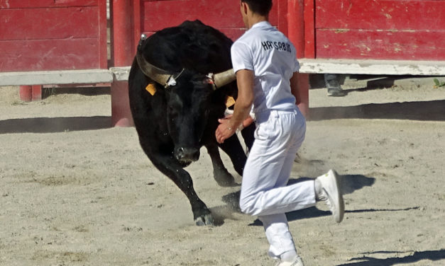 La troisième journée des Prémices en image