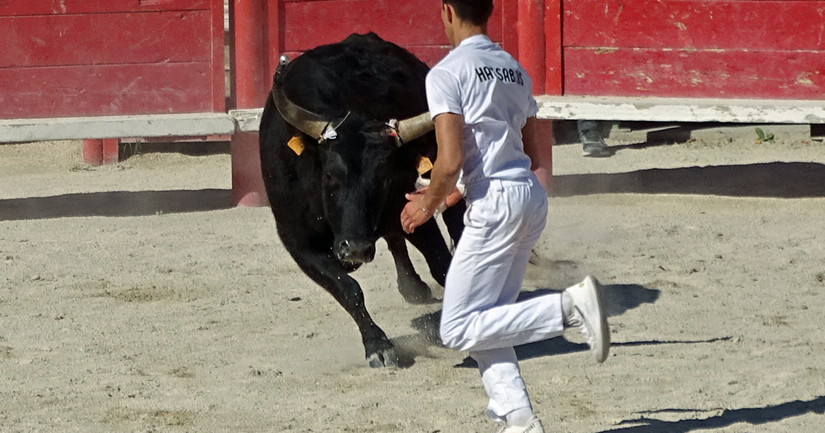 La troisième journée des Prémices en image