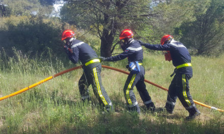 Pompiers : les futures recrues se forment aux feux de forêt