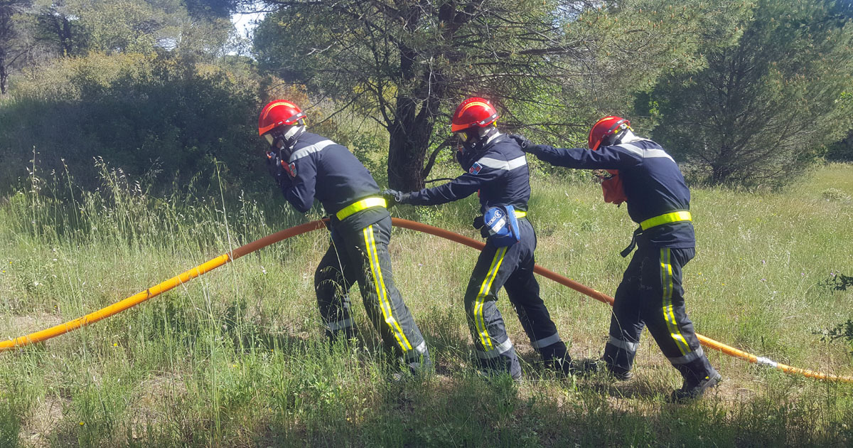 Pompiers : les futures recrues se forment aux feux de forêt