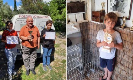 À chaque concours colombophile son propre Trophée