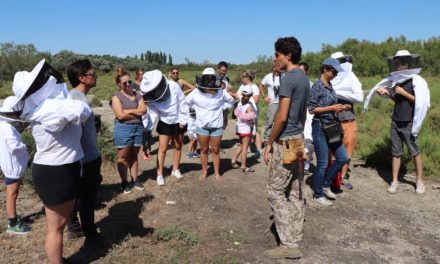 Scamandre : Sorties nature de l’été