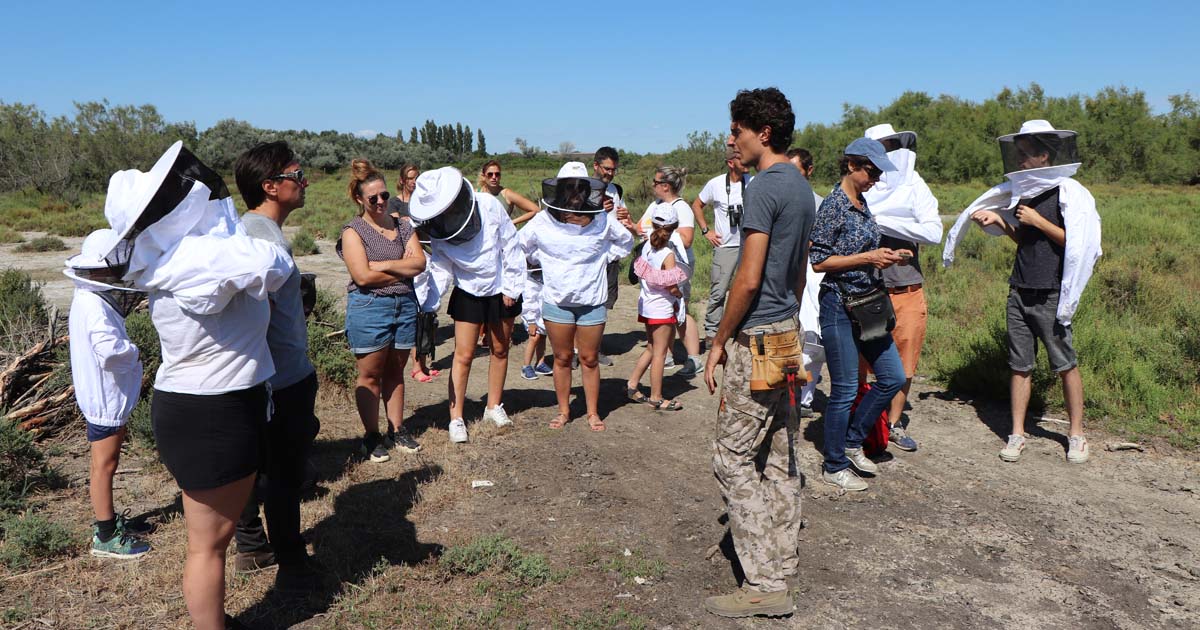 Scamandre : Sorties nature de l’été