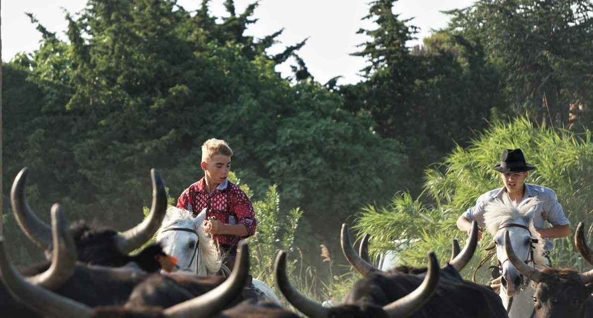 Fête votive de franquevaux 2021