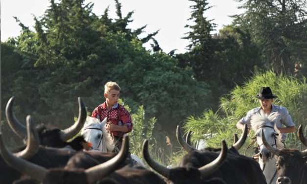 Fête votive de franquevaux 2021