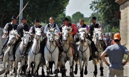 Un nouveau titre au concours d’abrivado pour la manade Cayzac