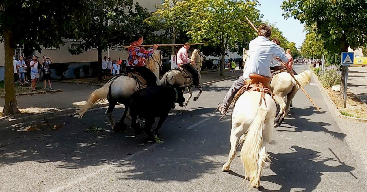 L’abrivado de « La Costière » ouvre la fête votive