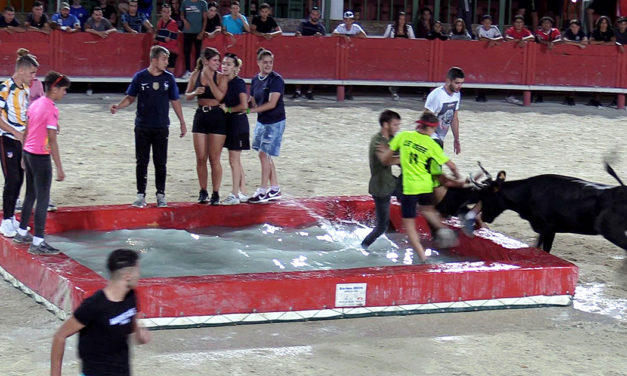 Course de nuit des clubs taurins : Super !