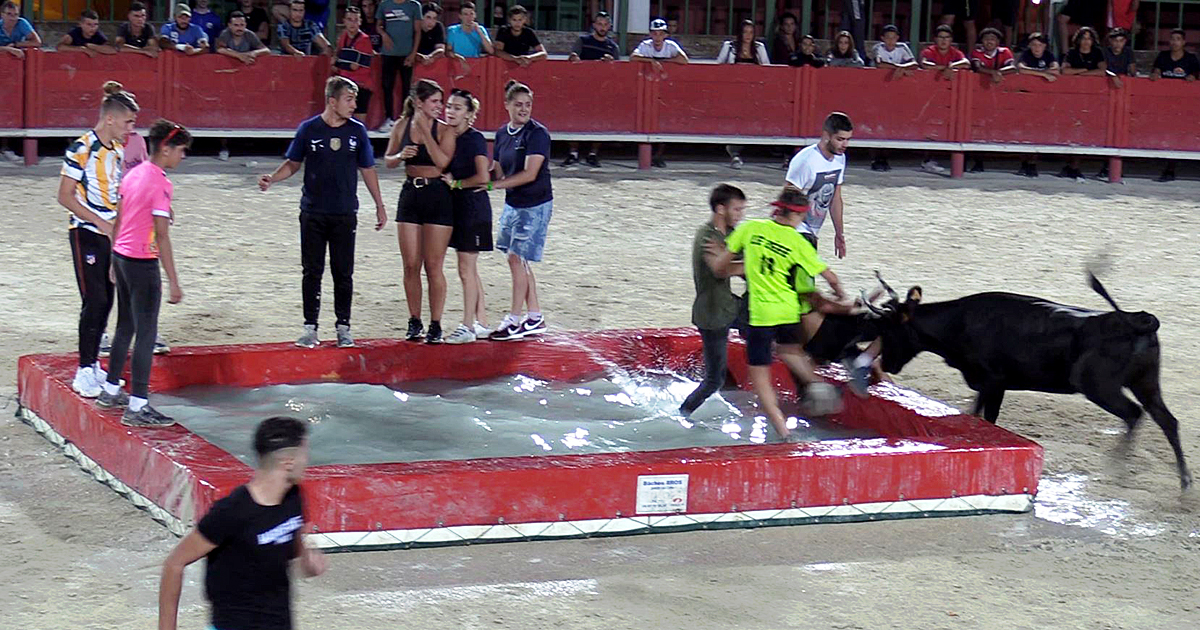 Course de nuit des clubs taurins : Super !