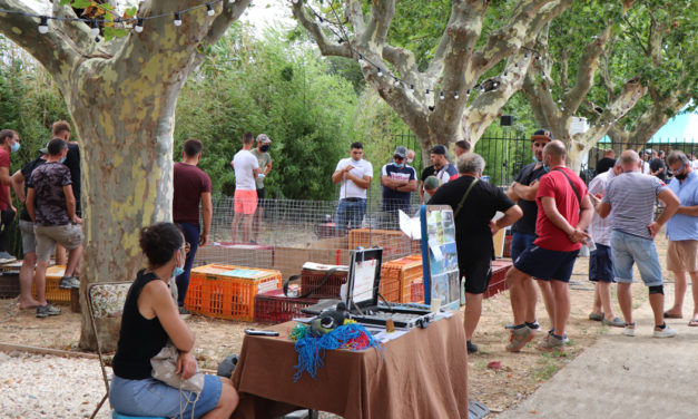 Foire des huttiers du Sud : 1 600 canards à la vente pour les passionnés de la chasse à l’eau