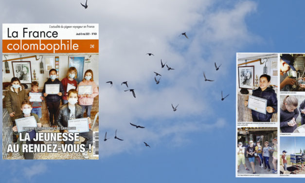 L’Entente Colombophile de Camargue a les honneurs de la presse spécialisée