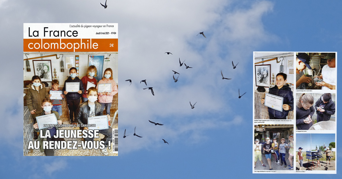 L’Entente Colombophile de Camargue a les honneurs de la presse spécialisée