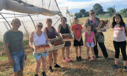La maison du paysan d’Aimargues a ouvert ses serres au public