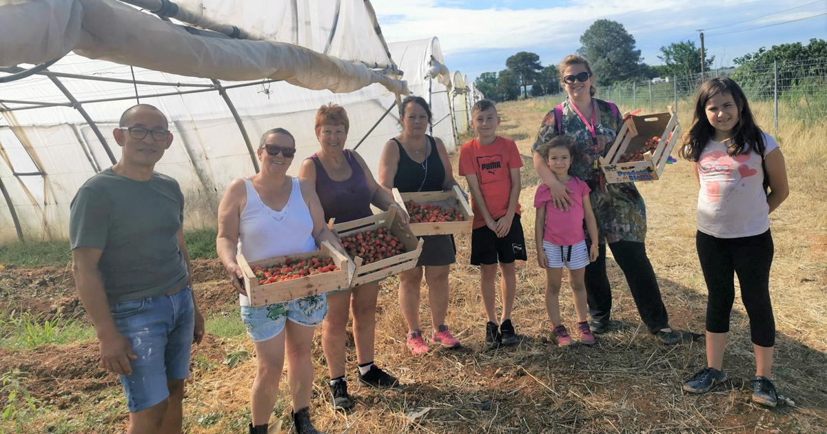 La maison du paysan d’Aimargues a ouvert ses serres au public