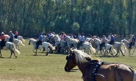 Fête de Vauvert : Retour des prés