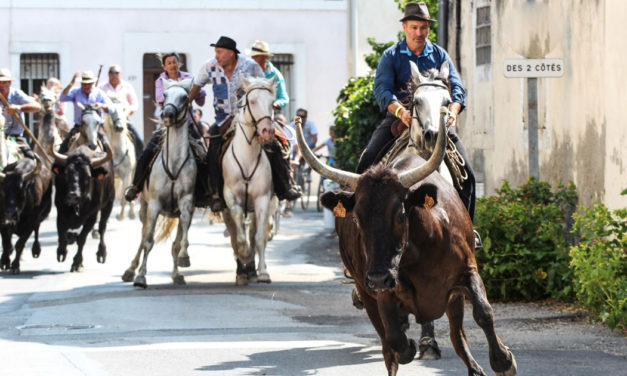 La fête de Saint-Laurent d’Aigouze bat son plein malgré les restrictions