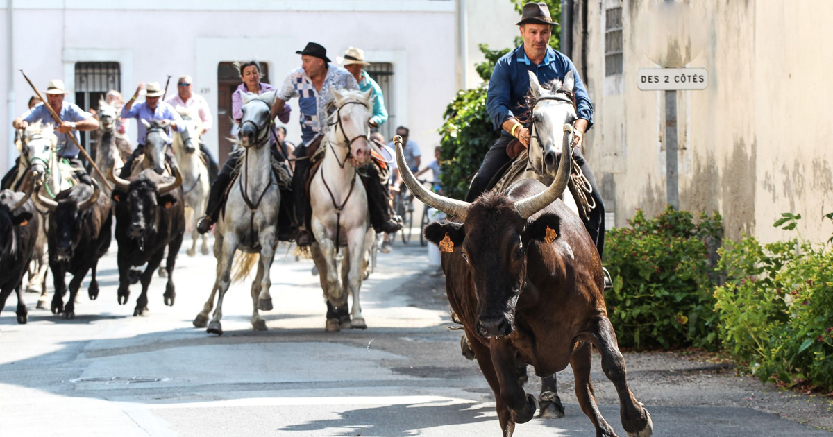 La fête de Saint-Laurent d’Aigouze bat son plein malgré les restrictions