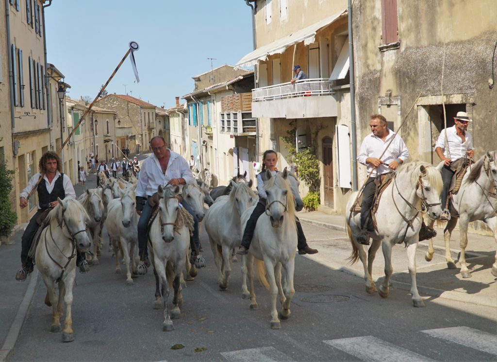 Thomas Fougairolles et sa manade de chevaux