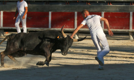 Un excellent millésime pour le trophée R. Pascal et G. Barbeyrac à Beauvoisin