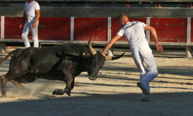 Un excellent millésime pour le trophée R. Pascal et G. Barbeyrac à Beauvoisin