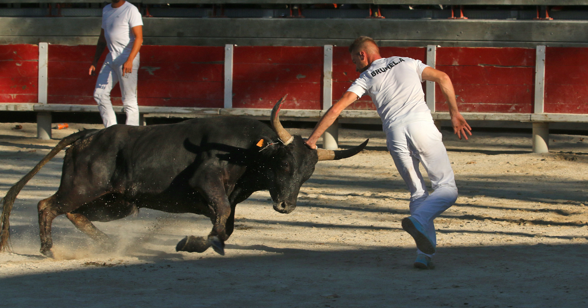 Un excellent millésime pour le trophée R. Pascal et G. Barbeyrac à Beauvoisin