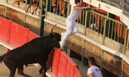 C’EST PARTI POUR LA FÊTE DE VAUVERT