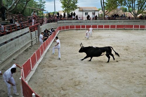 arènes de Beauvoisin