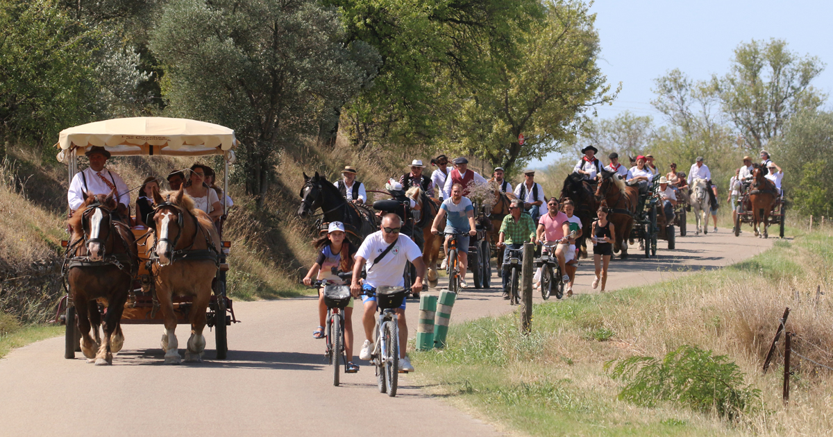 Retour en images sur la fête de Vauvert 2021