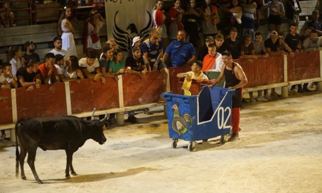 Beauvoisin, La vote 2021 est terminée