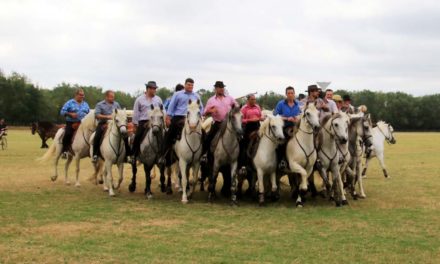 Emblématique Abrivado !