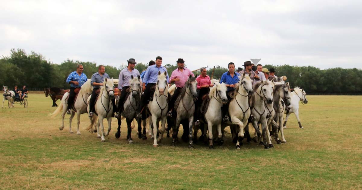 Emblématique Abrivado !