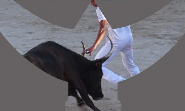 Ce samedi : Course de ligue à Vauvert