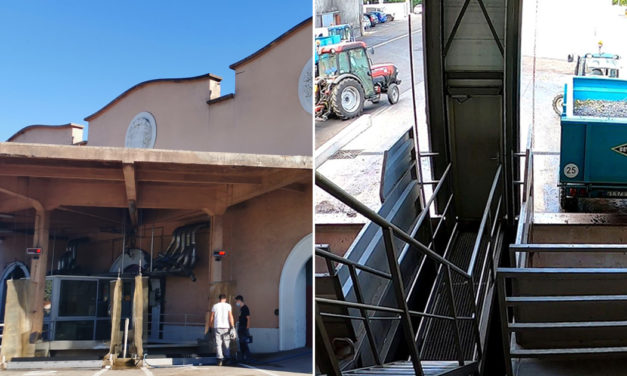 Les Maîtres Vignerons de Vauvert et Gallician Signature en pleine récolte