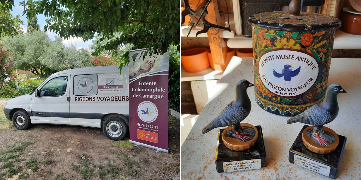 C’est la rentrée à l’Entente Colombophile de Camargue